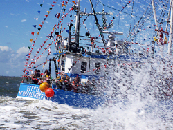 Fischkutter Seestern